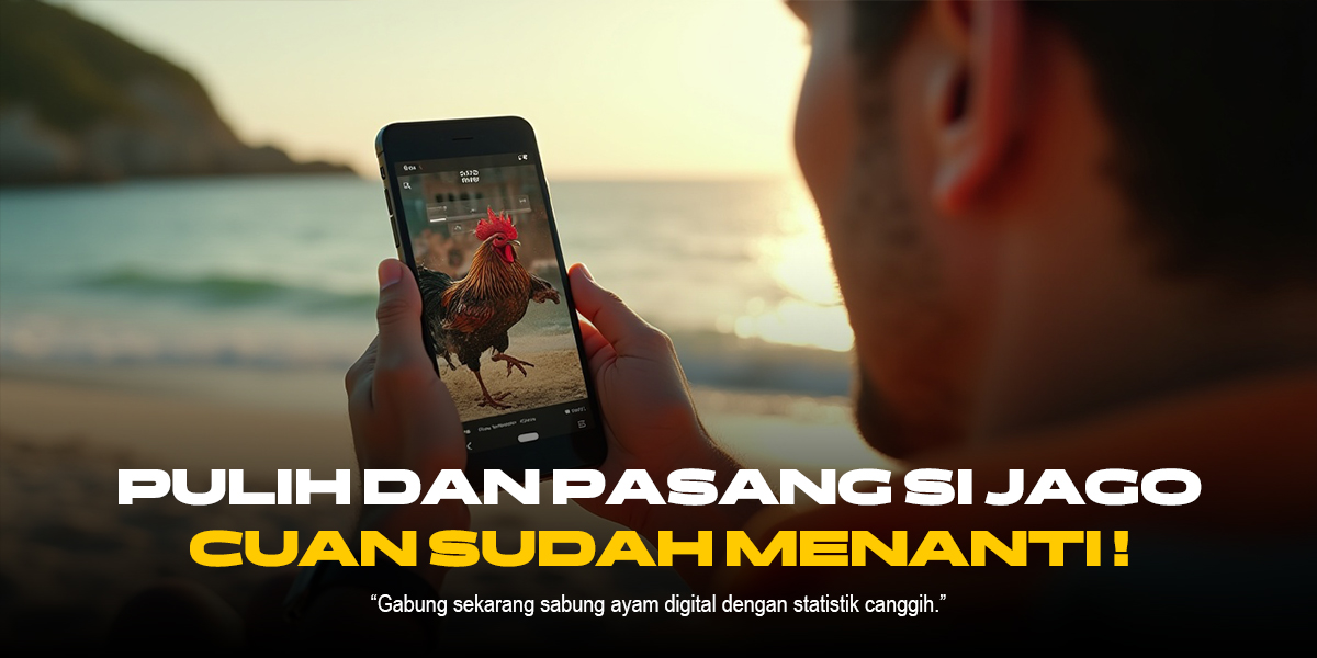 Sabung Ayam: Tradisi Unik yang Memikat dan Dinamika Modernnya