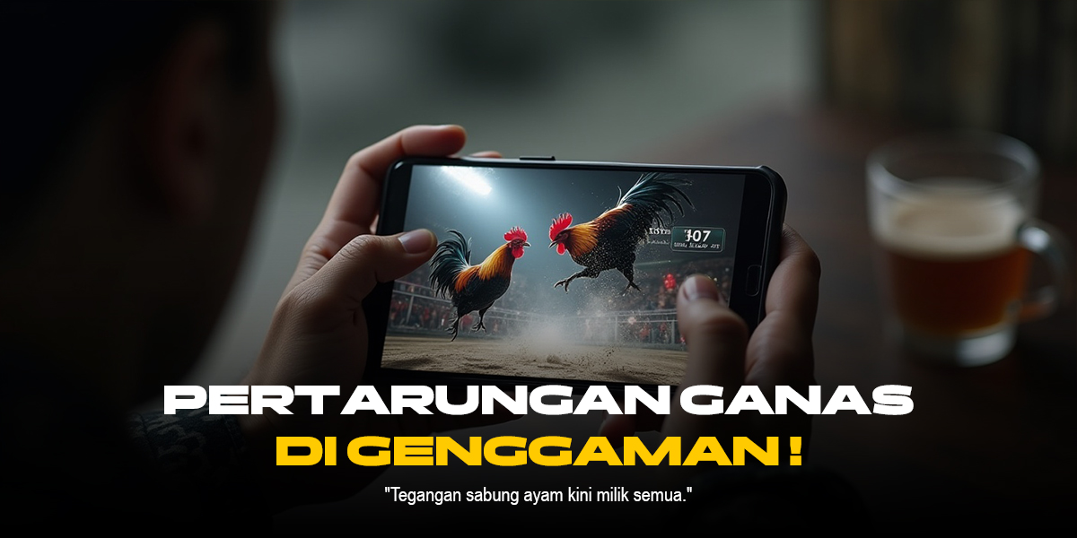 Mengenal Jenis Ayam Aduan di Sabung Ayam SV388