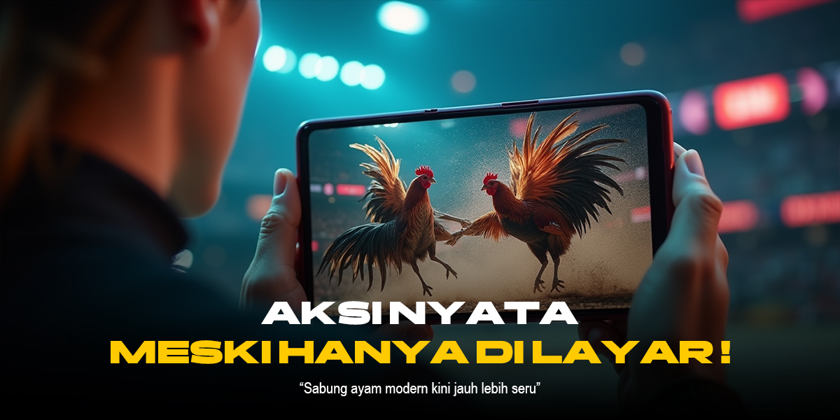 Mengenal Jenis Ayam Aduan Populer di SV388 Sabung Ayam