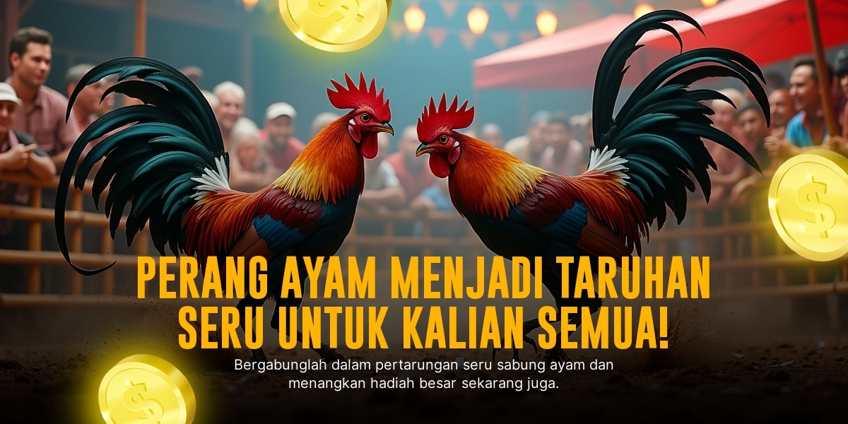 Mengenal Jenis Ayam Aduan di Sabung Ayam SV388